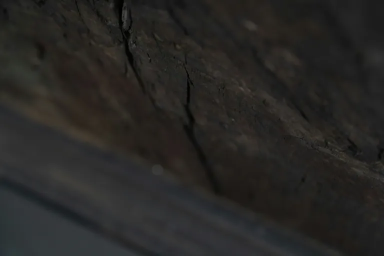 a close up of a rock