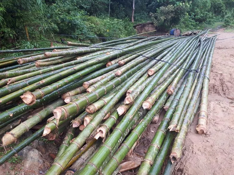 Chuẩn bị thanh tre để làm diều