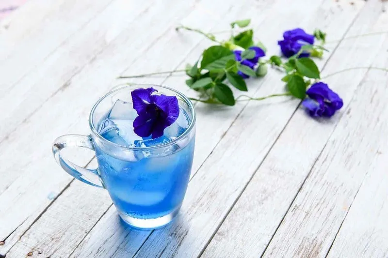Cách giảm cân bằng hoa đậu biếc tươi
