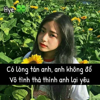 [1001+] Câu thơ thả thính, kiếm người yêu thoát Ế ngay và luôn
