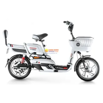Top 5 chiếc xe đạp điện giá rẻ tốt nhất hiện nay