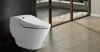 Bồn cầu Viglacera 1 khối có mấy loại ?