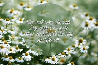 Tặng 101 lời chúc buổi sáng tốt lành ngọt ngào cho người yêu bạn bè