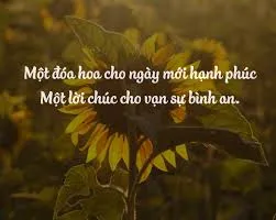 [Tips] 120+ Lời chúc ngày mới tặng bạn bè người yêu tình cảm nhất