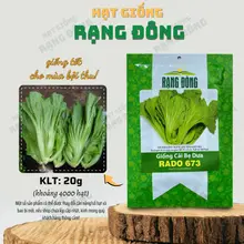 Hạt giống Cải Bẹ Dưa Rado 673 (20g~4000 hạt) cao sản, trồng quanh năm, dễ chăm sóc - Hạt giống Rạng Đông | D45