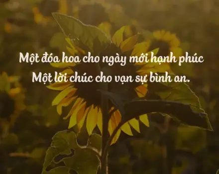 999+ Lời chúc ngày mới tốt lành, ngọt ngào & hài hước nhất