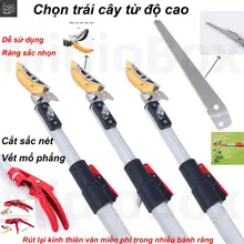 Kéo Cắt Cành Trên Cao, Cắt Cành Trên Cao,Thân Hợp Kim Nhôm, Vừa Cắt Cành, Vừa Hái Quả, 3m