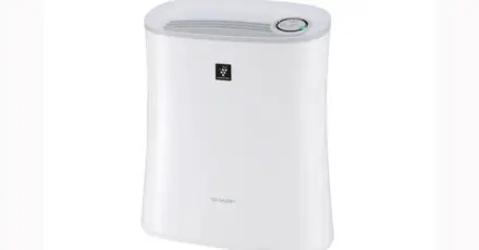 Đánh giá máy lọc không khí Sharp cho phòng nhỏ (dưới 25m²)