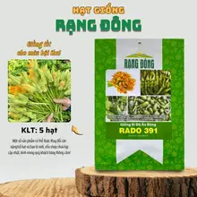 Hạt giống Bí Đỏ Ăn Bông Rado 391 (5g~40 hạt) nhanh thu hoạch, trồng quanh năm - Hạt giống Rạng Đông | G9