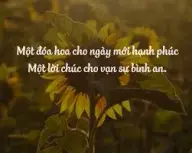 [Tips] 120+ Lời chúc ngày mới tặng bạn bè người yêu tình cảm nhất