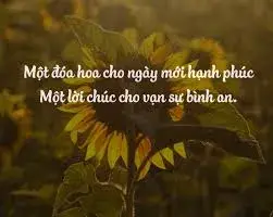 [Tips] 120+ Lời chúc ngày mới tặng bạn bè người yêu tình cảm nhất