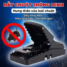 Bẫy Chuột Thông Minh Bẫy Chuột Dạng Sập Siêu Nhậy Vinatech247