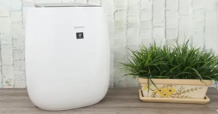 Đánh giá máy lọc không khí Sharp FP-G50E-W: Lựa chọn thông minh cho phòng 40m²?