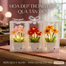Hộp hoa mini làm bằng kẽm nhung siêu đẹp dễ thương làm quà tặng bạn bè người thân.