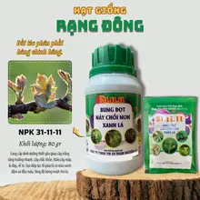 Phân Bón NPK 31-11-11 TOTT - Giúp Rau củ quả bung đọt, nảy chồi non, xanh lá, thân khỏe - Hạt giống Rạng Đông