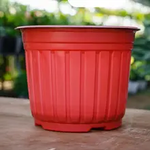 Chậu nhựa trồng hoa (kích thước 20x15cm, nên mua từ 5 chậu gửi ko bị móp) shop lấy màu ngẫu nhiên