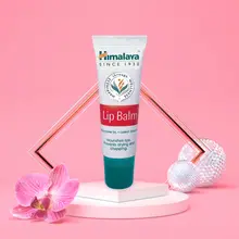 [HIMALAYA] SON DƯỠNG HIMALAYA LIP BALM – SON DƯỠNG CHIẾT XUẤT CÀ RỐT VÀ MẦM LÚA MẠCH