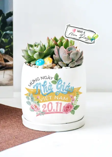 Quà tặng thầy cô 20/11: chọn theo cấp học và ngân sách