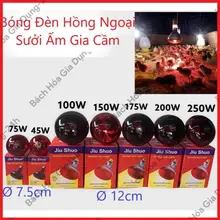 (Combo 2) Bóng đèn sưởi gia súc gia cầm, bóng úm gà, bóng đèn hồng ngoại, bóng sưởi  45W, 75W, 100W, 150W, 175W, 200W