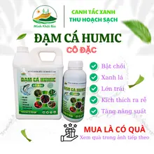 Đạm cá Humic Cô Đặc - Minh Khôi Bio | Bật chồi, xanh lá, lớn trái, kích thích ra rễ, cải tạo đất | Chai 1 lít, can 5 lít