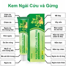 Kem Ngải Cứu và Gừng Giảm Ngứa,Chống nấm, ngứa , Làm Dịu Da Thích hợp để khử trung và làm sạch kháng khuẩn các vấn đề da