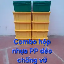 Combo 10 hộp nhựa đựng đồ, nhựa PP dẻo chống vỡ có 2 màu xanh - vàng