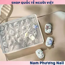 Khuôn silicon in móng hình sò biển 3d nail art phụ kiện hot-🌸 Nam Phương Nail 🌸