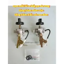 Bộ Chế hòa khí đánh lửa Fujishi + Tặng kèm ron, ốc - Cụm đánh lửa tự động Magneto cho bếp gas dương