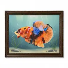 ảnh bức tranh cá nemo  ( tuỳ chọn giới tính)