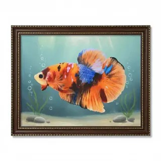 ảnh bức tranh cá nemo  ( tuỳ chọn giới tính)