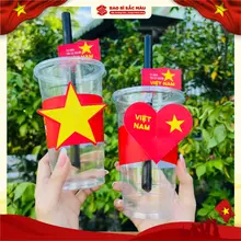 SET 100 COVER LY - TỰ HÀO VIỆT NAM