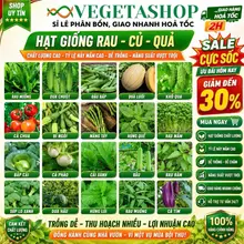 TỔNG HỢP HẠT GIỐNG RAU ĂN LÁ - CỦ QUẢ CÁC LOẠI - HẠT GIỐNG KING PHƯƠNG ĐÔNG NĂNG SUẤT CAO, TỈ LỆ NẢY MẦM TỐT- VEGETASHOP