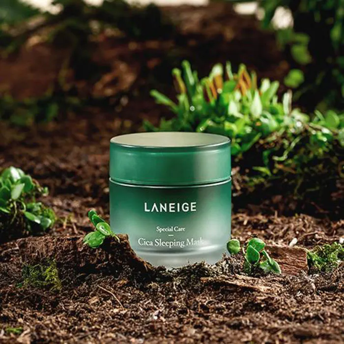 Review mặt nạ ngủ Laneige Cica Sleeping Mask chất lượng nhất
