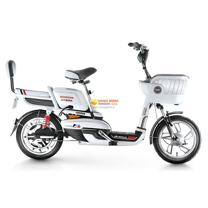 Top 5 chiếc xe đạp điện giá rẻ tốt nhất hiện nay