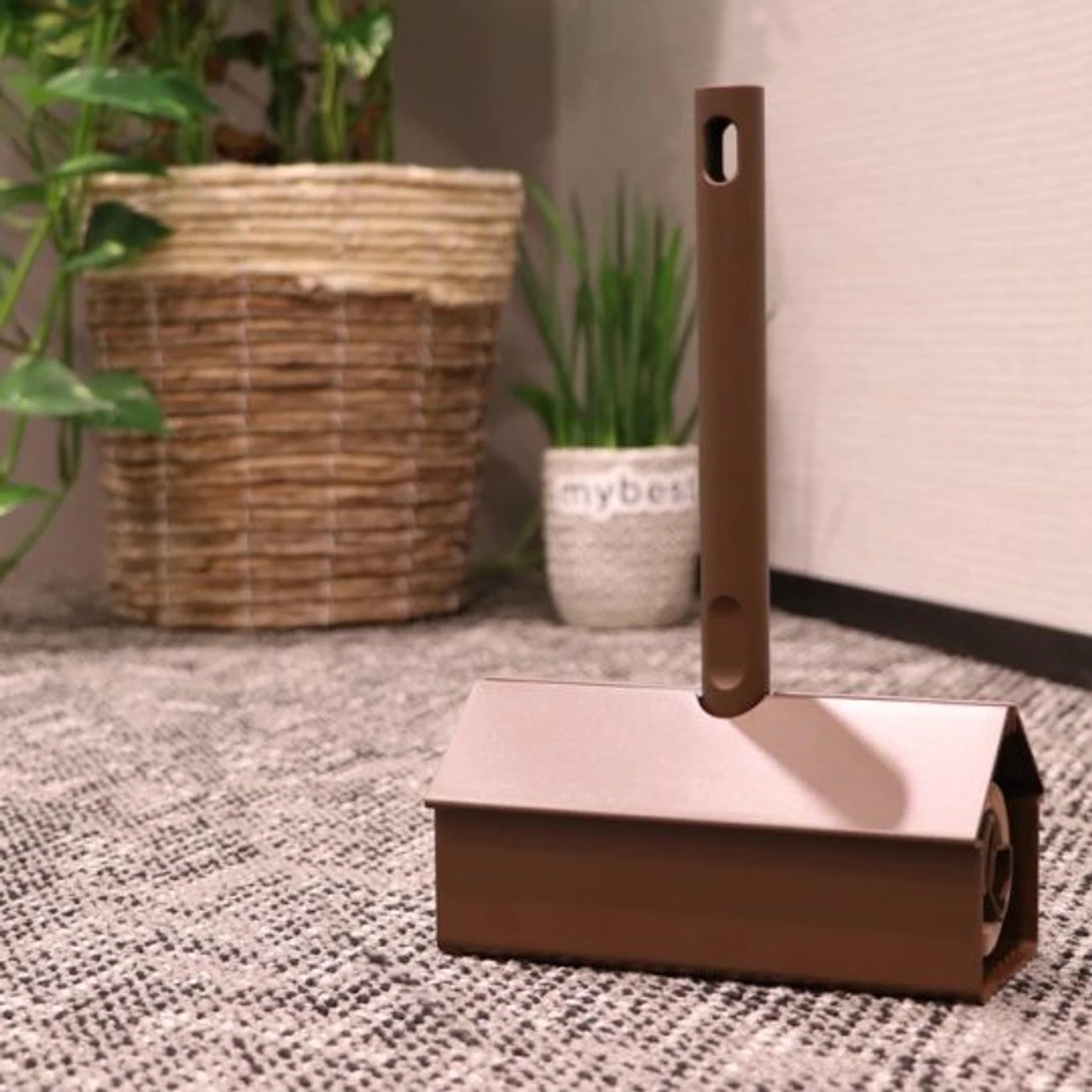 Chọn cây lăn bụi phù hợp