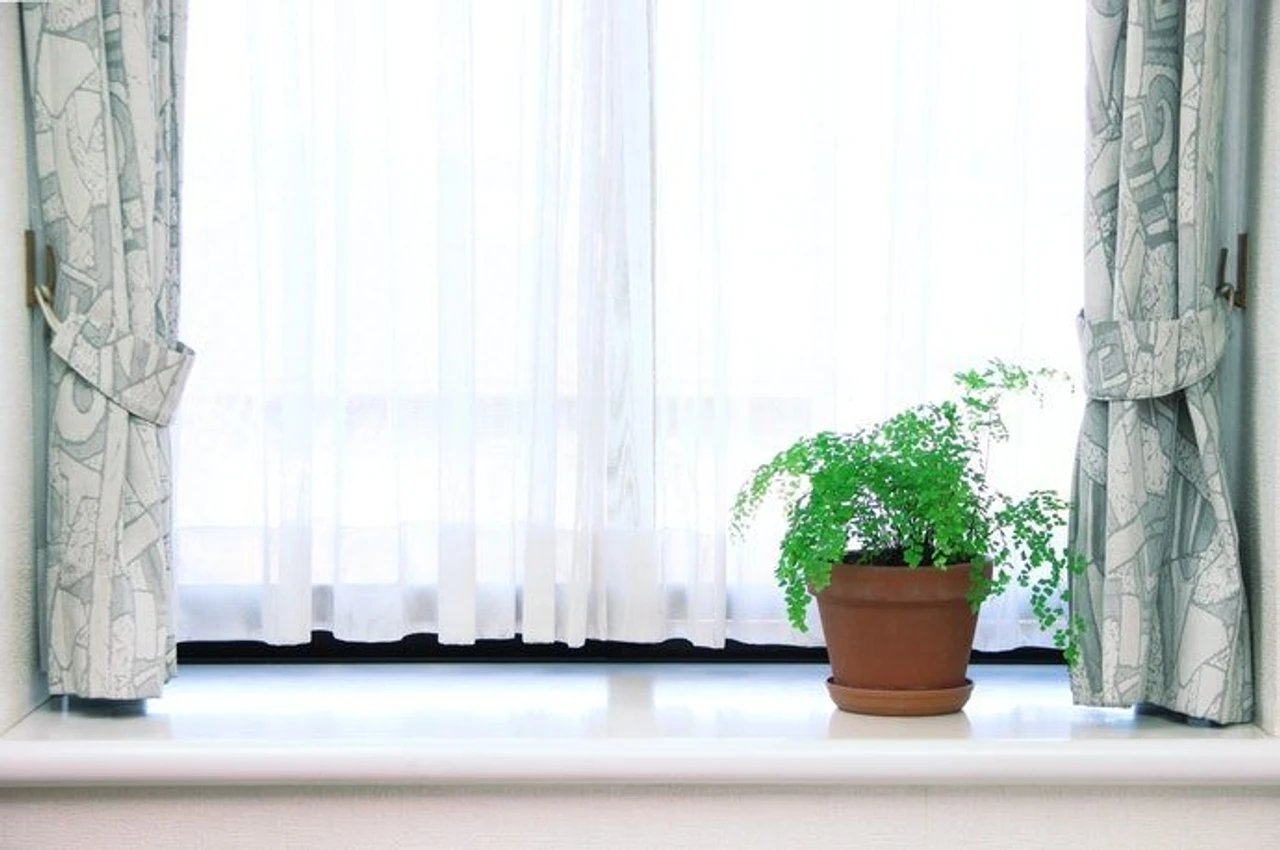 Cách đo chiều dài màn cửa