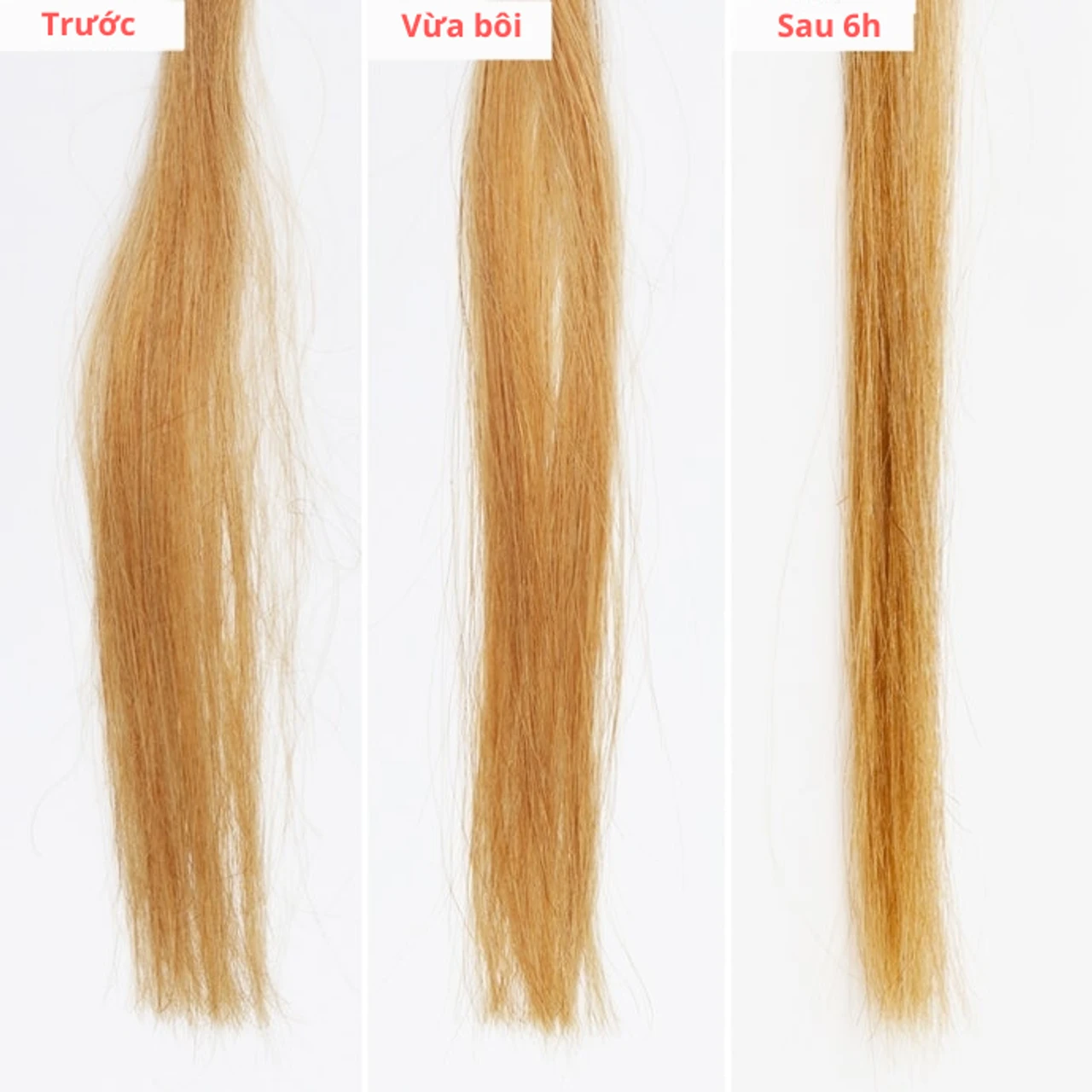 Kết quả sau khi dùng Fino