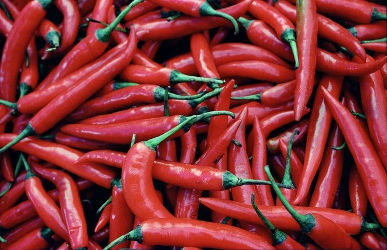 Sốt Tabasco