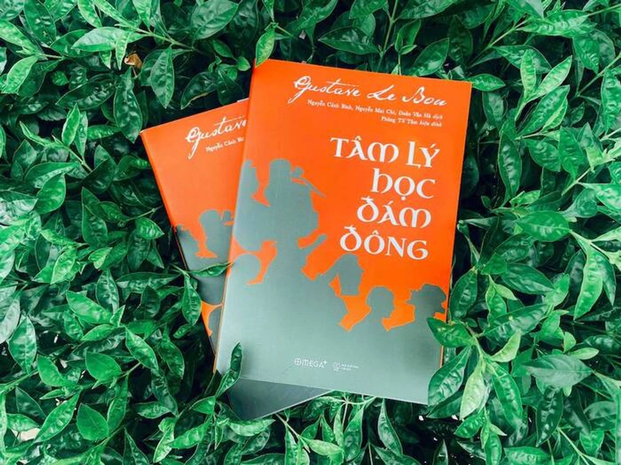 Tâm Lý Học Đám Đông - Gustave Le Bon