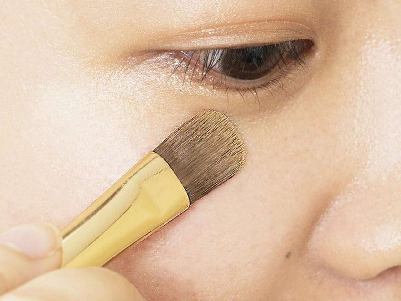 Cọ to phù hợp cho vùng diện tích rộng