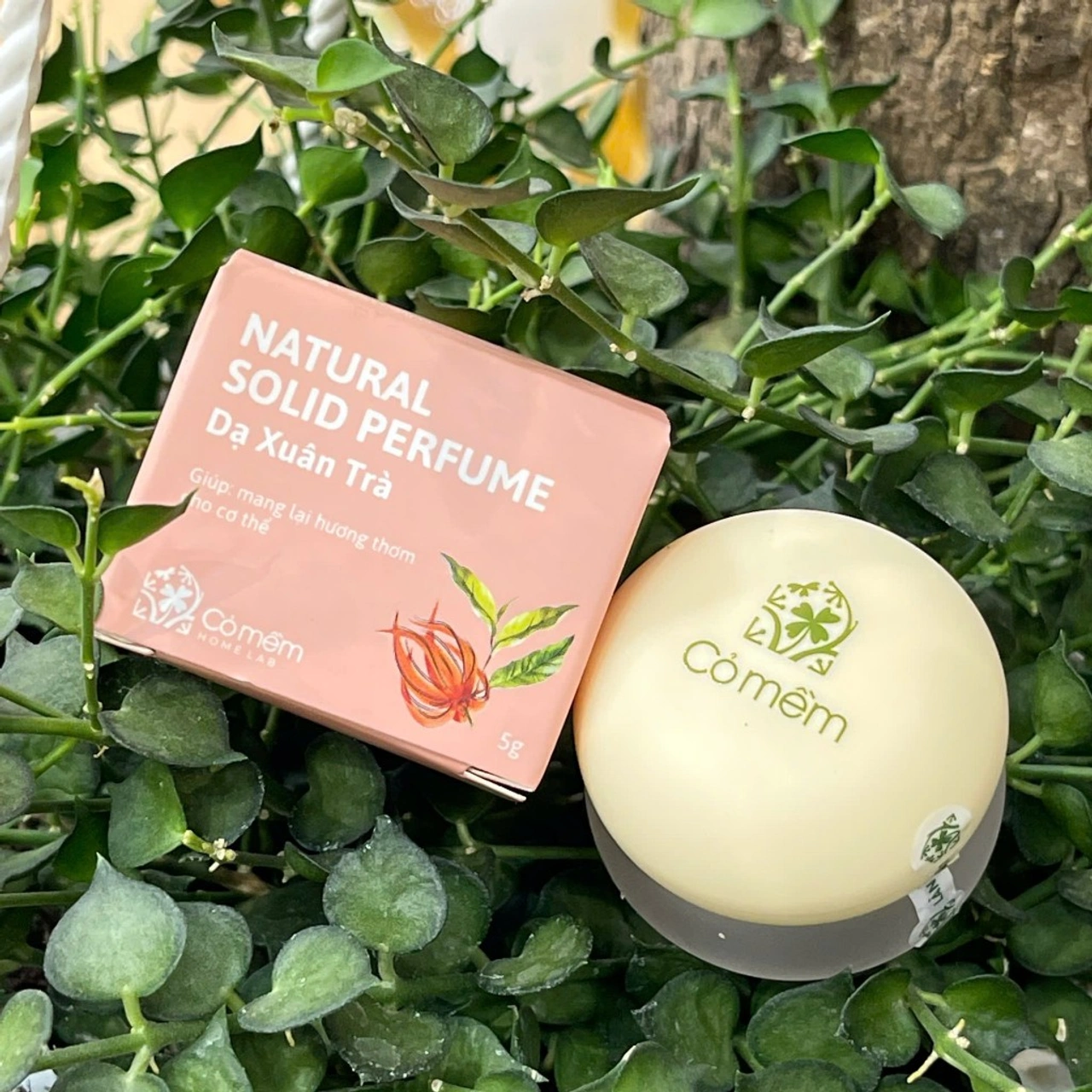Nước hoa khô Cỏ Mềm Dạ Xuân Trà thương hiệu Việt Nam