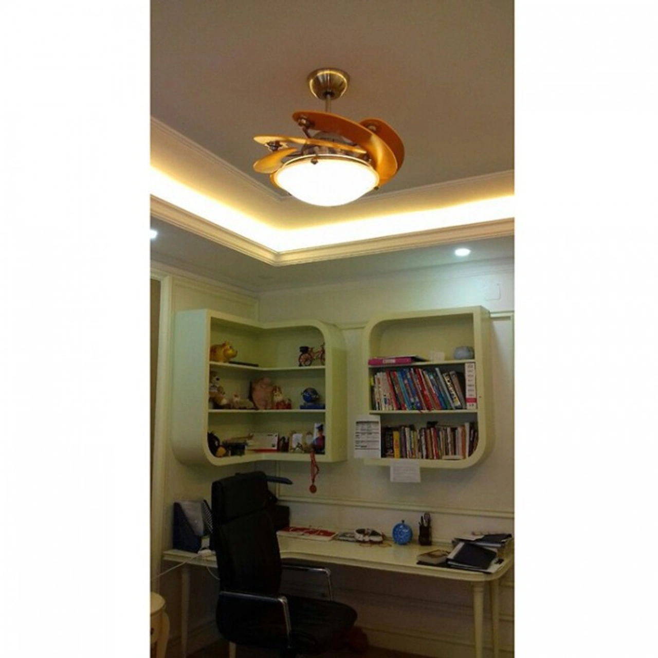 Royal Sole — Hoa hướng dương 5 cánh