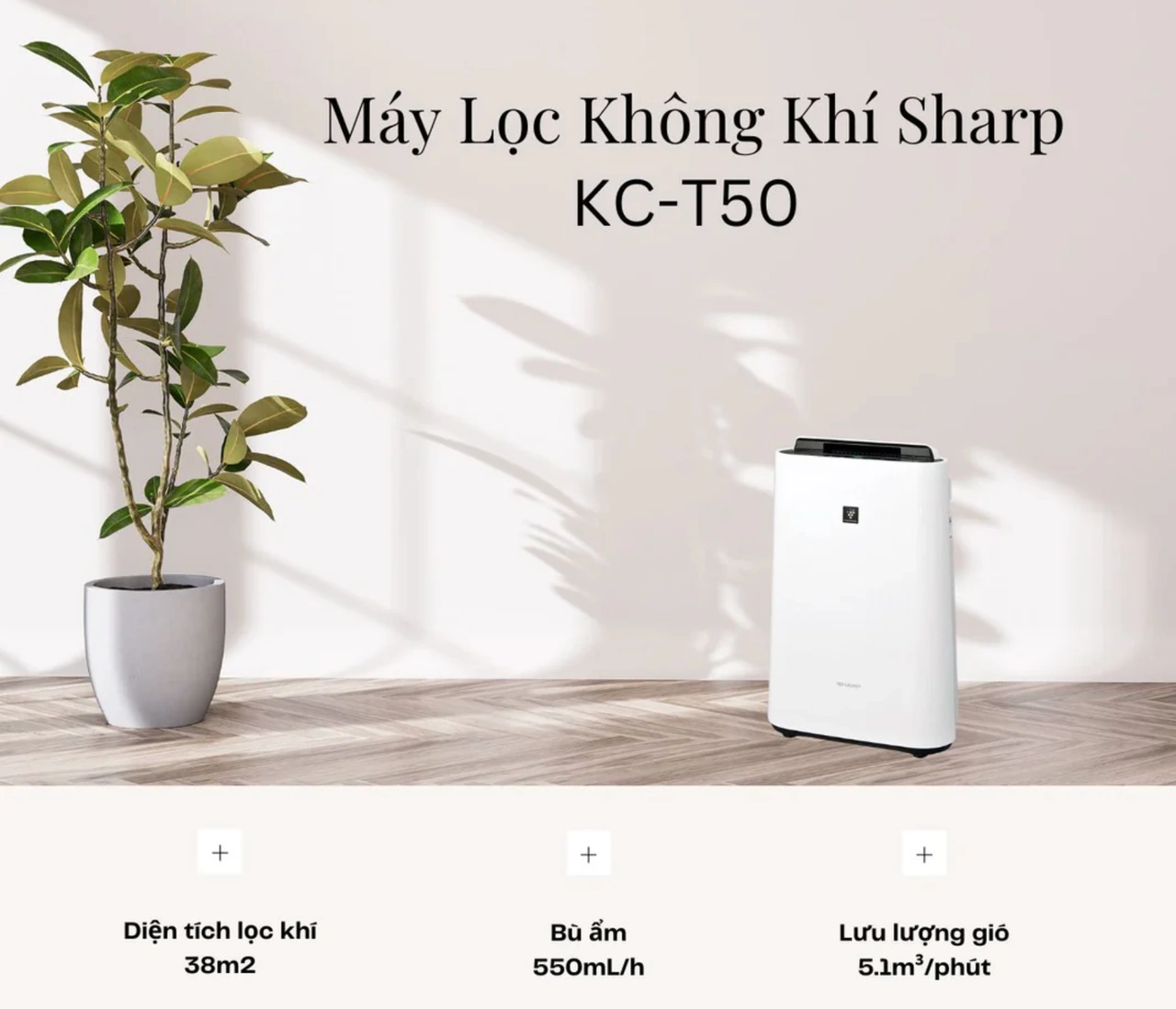 Sharp KC-T50-W 2025 máy lọc không khí tạo ẩm bù ẩm