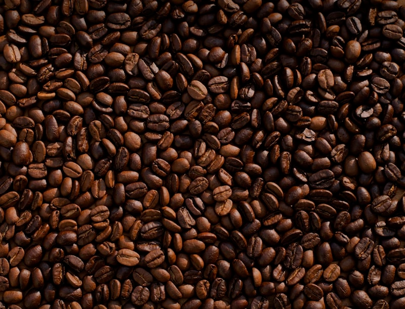 Arabica và Robusta rang xay cho cold brew